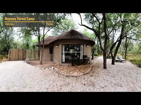 Inside Onguma Forest Camp in the Etosha National Park, Namibia.