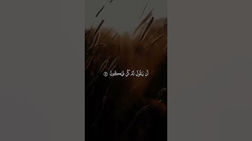 قرآن كريم 🤍 #استغفرالله #لايك #راحة_نفسية # #راحه_نفسيه #اكسبلور #حالات_واتس #تيك_توك