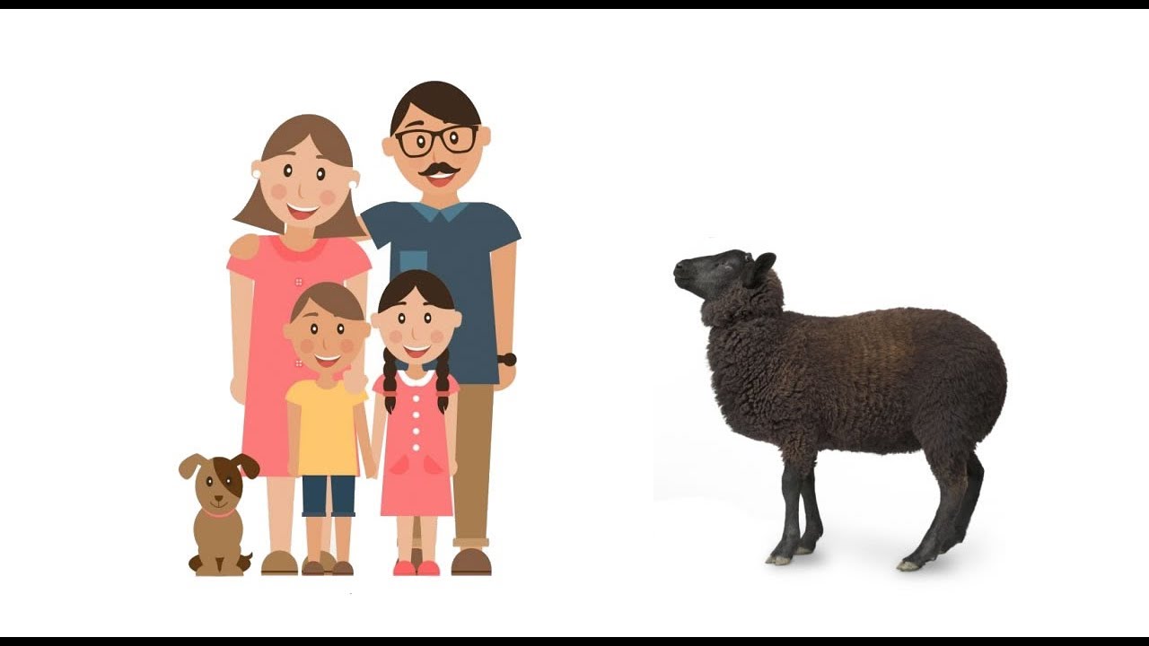 La oveja negra de la familia - Lalo Rams - YouTube
