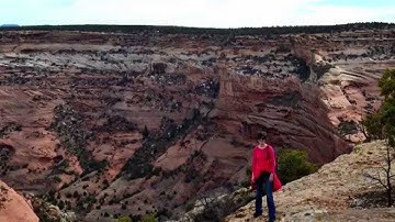 Paulina Jaramillo: Sustainable Energy Access in the Developing World