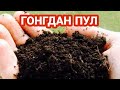 БИОГУМУС БИЗНЕСИ ГОНГДАН 10000$ ПУЛ ИШЛАШ | BIOGUMUS BIZNESI GONGDAN 10000$ PUL ISHLASH