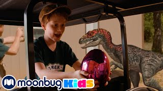 Caza de Huevos de Dinosaurio Sorpresa | @TRexRanchEspanol | Moonbug Kids