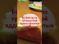 Хейтер я тебя съем как колбаску