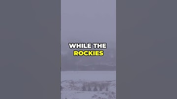 EXTREME COLD AND WINTER STORM HITS THE U.S. | STATES OF EMERGENCY DECLARED #polarvortex