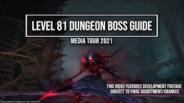 FFXIV: Level 81 Dungeon Boss Guide - Media Tour 2021