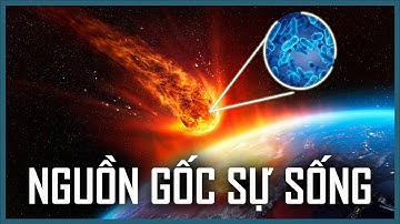 Cội Nguồn Nhân Loại: Có Phải Loài Người Có Nguồn Gốc Từ Ngoài Không Gian? | Vũ Trụ Nguyên Thủy