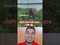বরশি দিয়ে মাছ ধরা #fishing #shorts