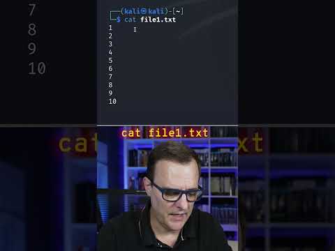Linux Diff #shorts #linux #kalilinux