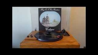 Cochrane - Hang On To Your Resistance (Vinyl)  - Sota Sapphire Turntable