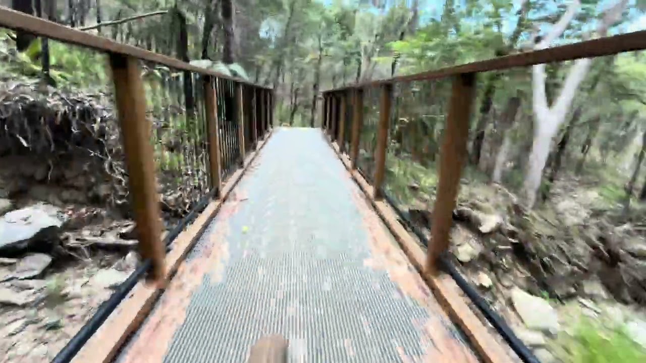 Wangetti Trail section 1 - Bike