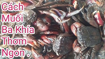 Cách Muối Ba Khía Thơm ,Ngon, Màu Đẹp  Ăn Ko Bị Đau Bụng .