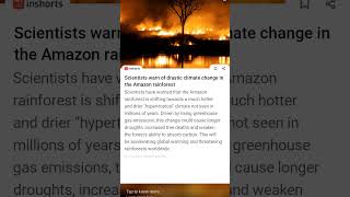 Scientists warn of drastic climate change in the Amazon rainforest. #amazonrainforest #climatechange