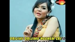 Dian Marshanda - Lintang Dhuwur Kutho | Dangdut ( Music Video)