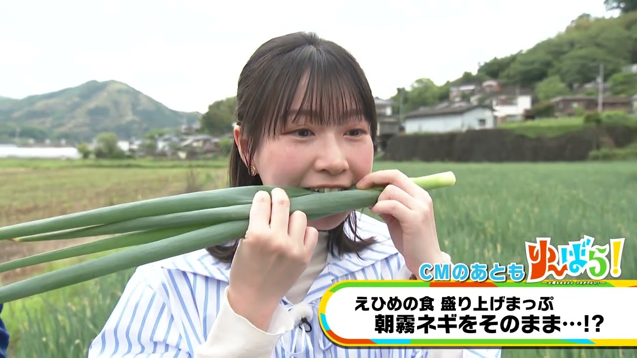 ※専用※ 【aaaサマ専用】 若葉！蛯茶！萌葱！ 柳！ Yu-bara!] Ehime Food Promotion Map: We visit the producers of the