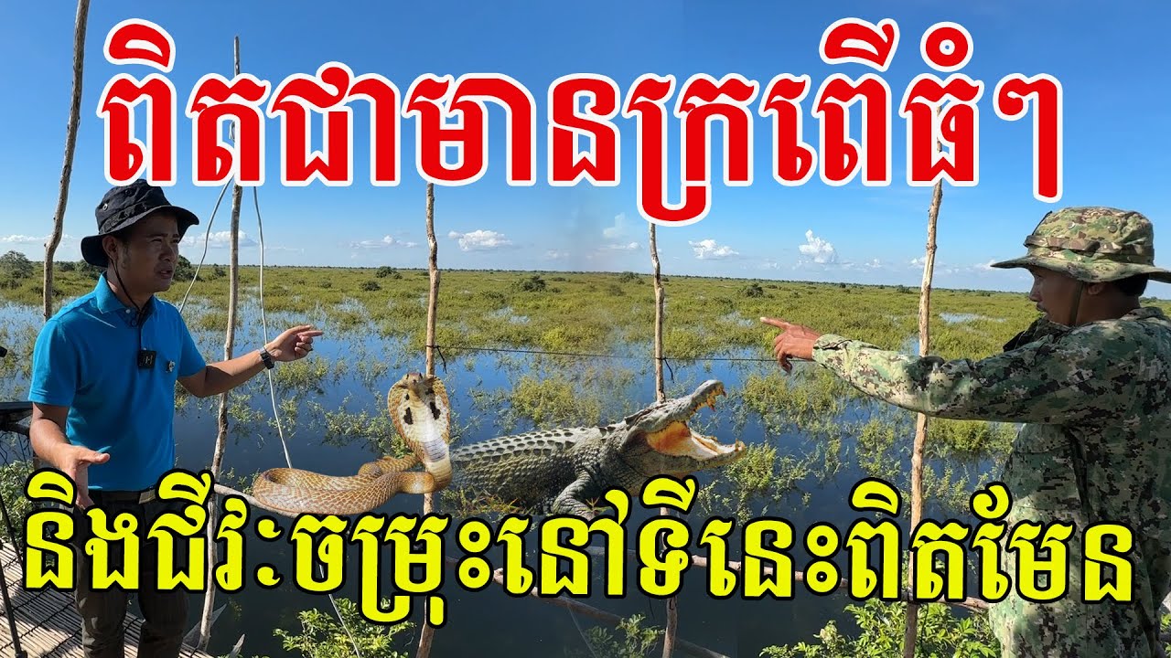 ពិតជាមានក្រពើធំៗ និងជីវៈចម្រុះនៅទីនេះពិតមែន ចូលរួមអភិរក្សធនធានធម្មជាតិទាំងអស់គ្នា