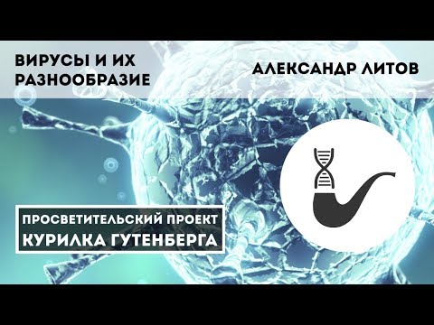 Вирусы и их разнообразие – Александр Литов