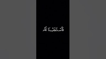 وَزَكَرِيّا إِذ نادى رَبَّهُ || كروما قران كريم شاشة سوداء || محمد ايوب