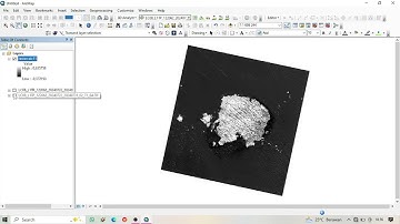 Vidio Tutorial Membuat Peta Tutupan Lahan Mangrove "Di Pulau Sepindang" Menggunakan Aplikasi ArcGIS