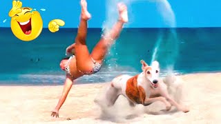 Funny Animals Video - Best Cats and Dogs Videos. Funny Animals Channel. Part 166 by Funny Animals Channel 2,793 views 1 year ago 10 minutes, 8 seconds