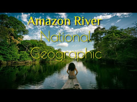 Жизнь На Реке Амазонка. Река Амазонка. Документальные Фильмы. National Geographic. Природа.