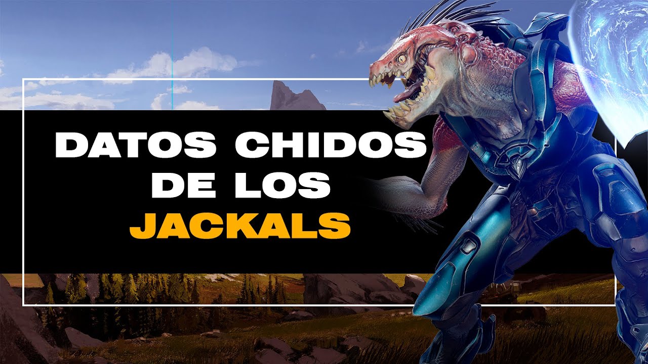 DATOS QUE NADIE ME PREGUNTÓ DE LOS JACKALS (KIG-YAR)