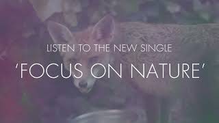 The Bevis Frond - Focus On Nature (Official Trailer)