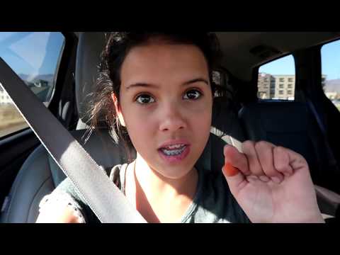 Show Toto With Bears Chubby checker hookup tayo song words