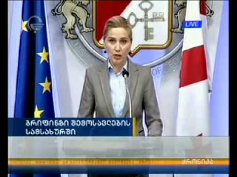 ბრიფინგი შემოსავლების სამსახურში