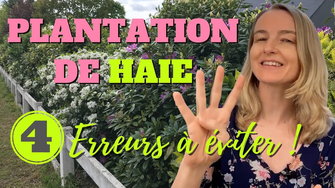 Plantation de haie 4 erreurs à éviter