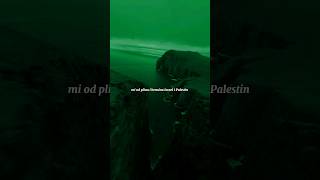 Izrael i Palestina Tea Tairović #zvezdegranda #idjvideos #generacijazed