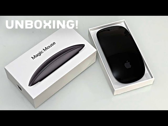 A1657) Apple Magic Mouse 2 (Silver/Black) - MMMQ3AM/A