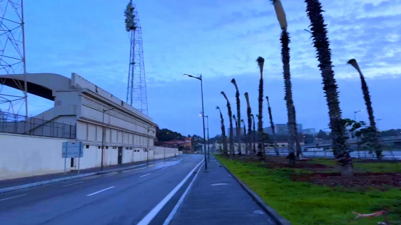 ضفاف وادي الحراش.. غرس أشجار ونخيل في مساحات خضراء بالمحمدية بجانب ملعب 1 نوفمبر لحظة هبوب رياح قوية