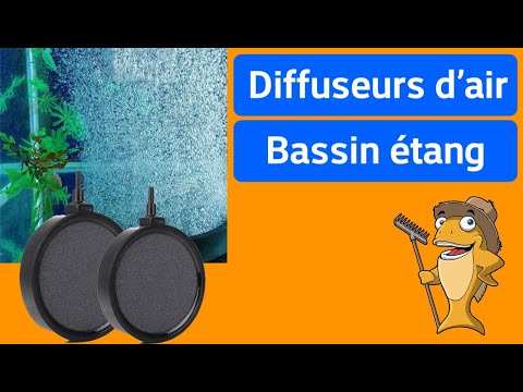 Vidéo: Aérateurs De Bassin : Compresseur De Fond Pour Aérer L'eau En Hiver, Aérateurs Solaires Sans électricité Et Autres Modèles