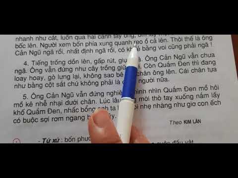 Tiếng việt 3: tuần 25: Hội vật
