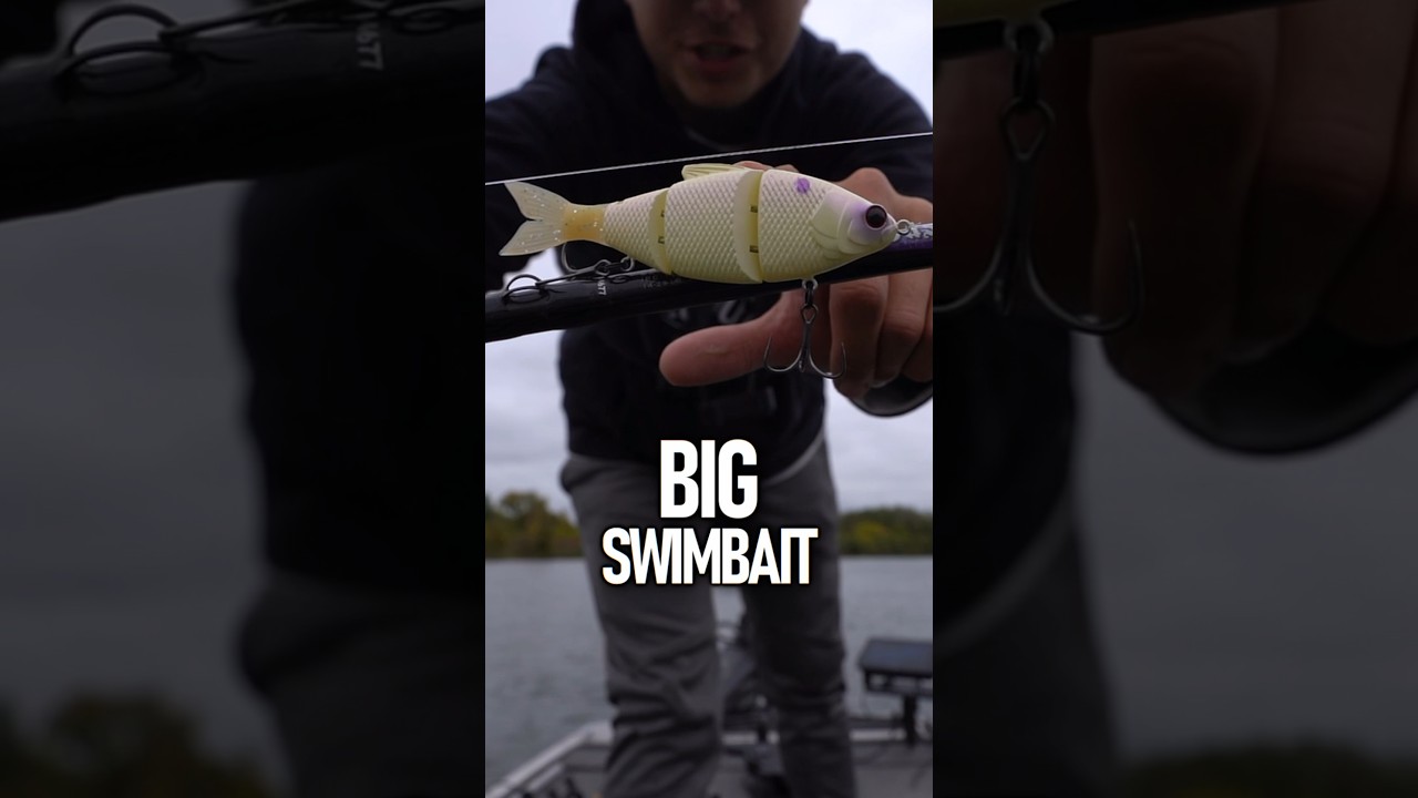 BIG Swimbaits Catch BIG FISH! #fishing