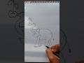drawing with numbers