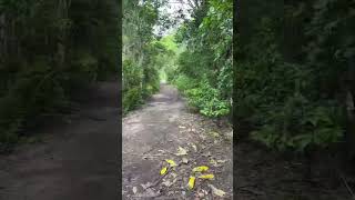 Download Lagu Going fast #nature #helpmemakethismakesense #travel #hiking #drone #ishowspeedwannabe MP3 Download Lagu Going fast #nature #helpmemakethismakesense #travel #hiking #drone #ishowspeedwannabe MP3
