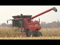 Harvest 2020 | Case IH 5140 Combine Harvesting Corn | Corn Harvest 2020