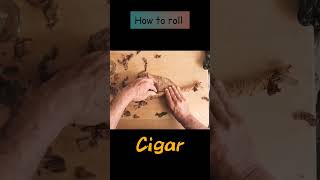 How to roll Cigars