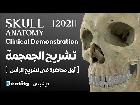 Skull Anatomy | اسهل طريقة لفهم  تشريح الجمجمة  Part [ 1/2 ]