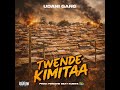 UDANI GANG TWENDE KIMITAA Official Audio Music 2025