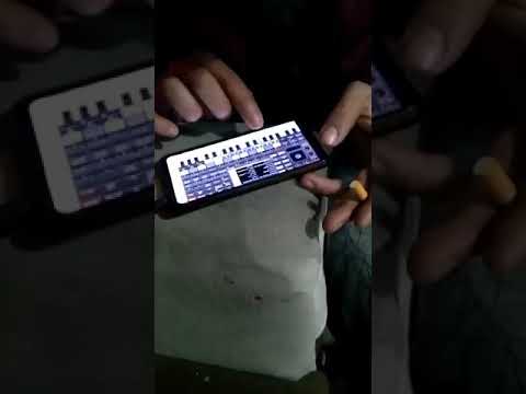 مولد التت والعواد علي الرايق وحظ ياحظ