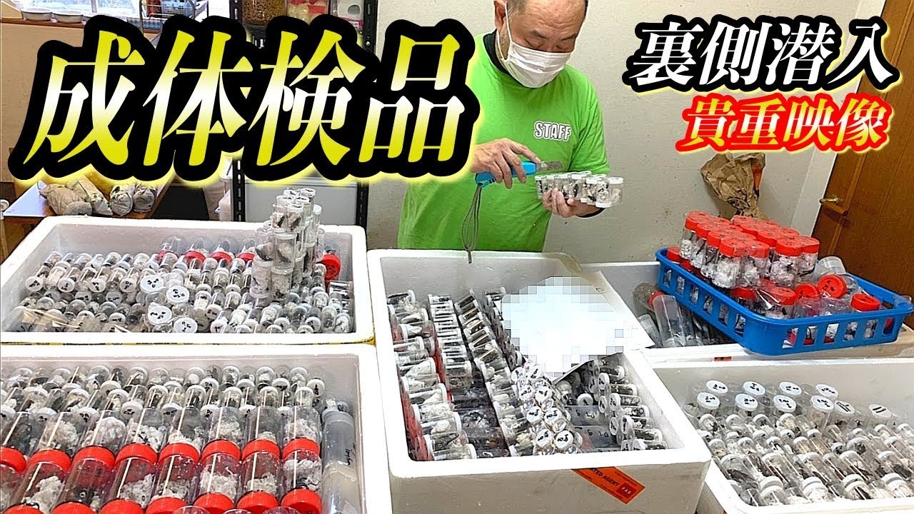 It was a rare and precious moment for those not involved to see