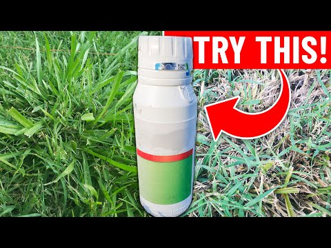 Weed Killer for Carpetgrass - Kill Carpet Grass Without Killing the Lawn