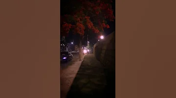 الشخص اللي انتي عرفتيه دلوقتي اتغير تامر حسني 180 درجه 