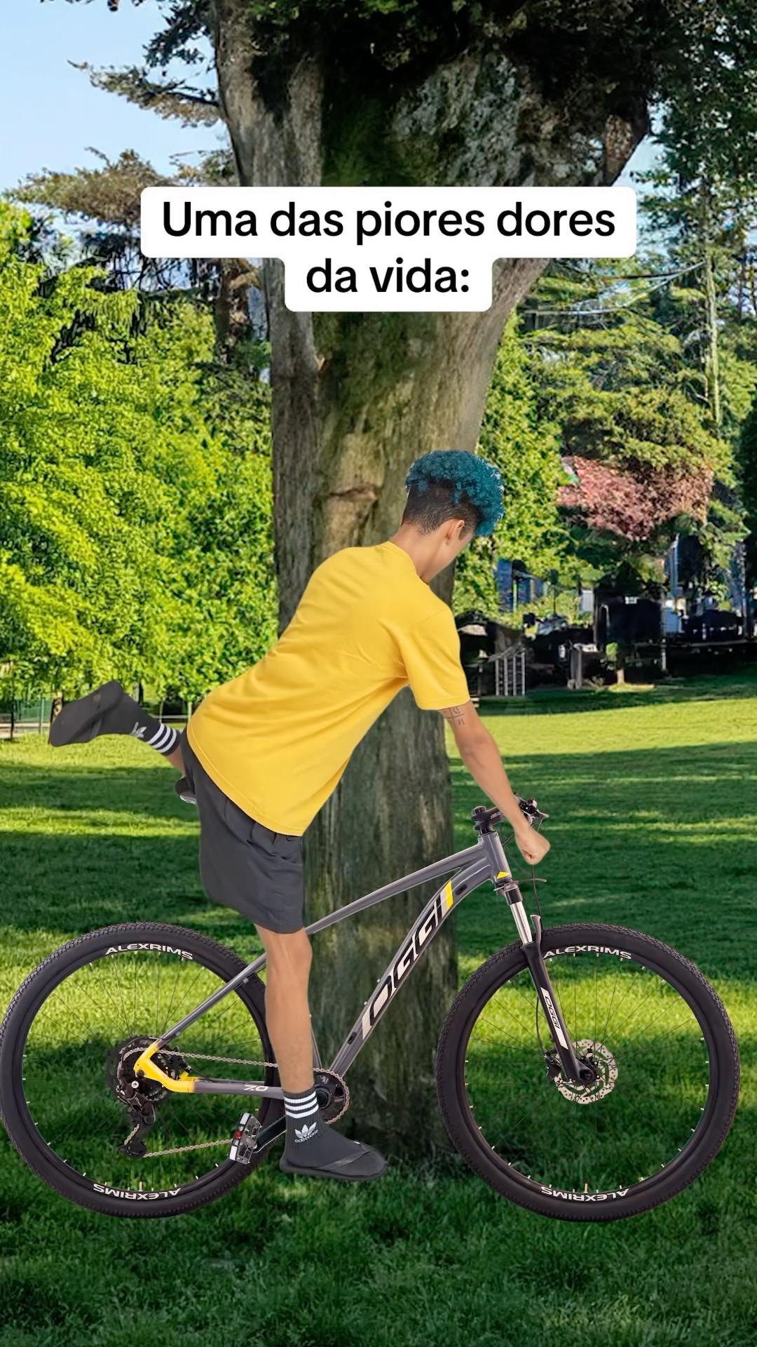 QUANDO VOCÊ VAI ANDAR DE BICICLETA