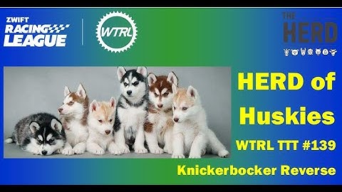 Zwift Racing League - TTT #139 Knickerbocker Reverse