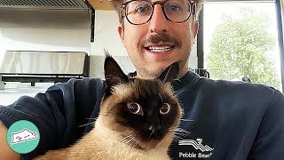 Man And His Comedian Cat Make Whole Family Laugh | Cuddle Buddies