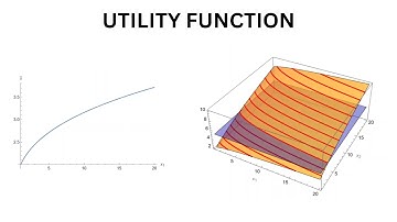 The Utility Function | Microeconomics