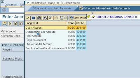 SAP FICO VIDEO TRAINING TUTORIALS 0029 OPTION-1 MONTH END PROVISIONS ECC6 -BAYISETTI